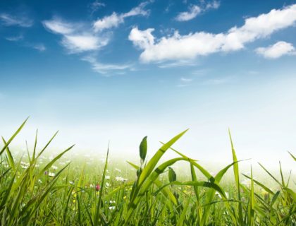 Insectum! A show you can’t miss