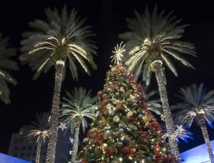 Holiday events in Miami